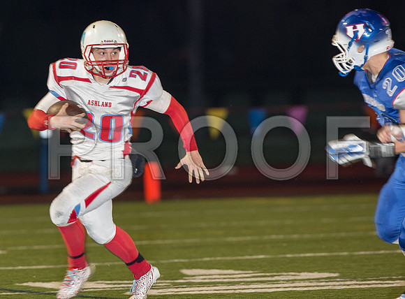 2014_11_ahs-hillsboro_047