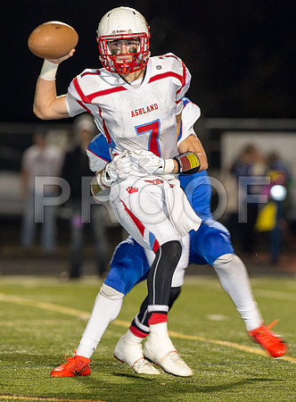 2014_11_ahs-hillsboro_074