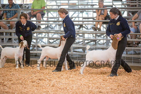 2018_07_jc-fair_241