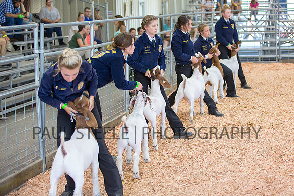 2018_07_jc-fair_243