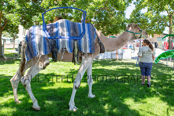 2018_07_jc-fair_031