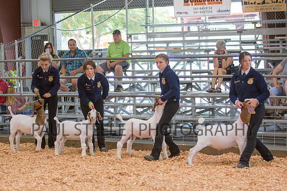 2018_07_jc-fair_242