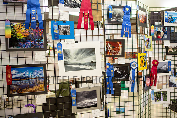 2018_07_jc-fair_265