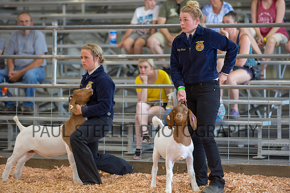 2018_07_jc-fair_240