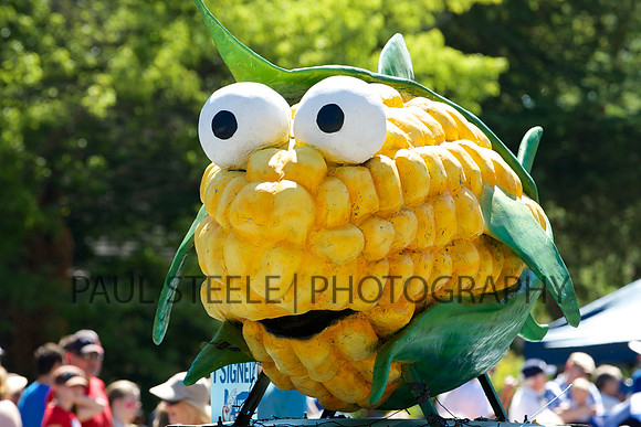 2G3C6525 - 2014-07-04 at 10-44-09