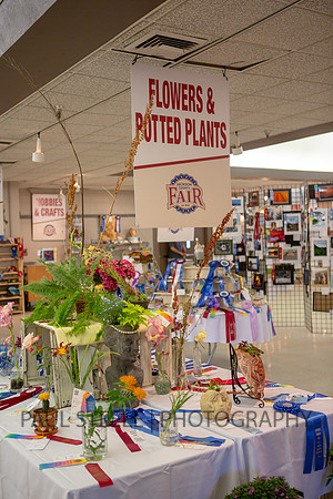2018_07_jc-fair_269