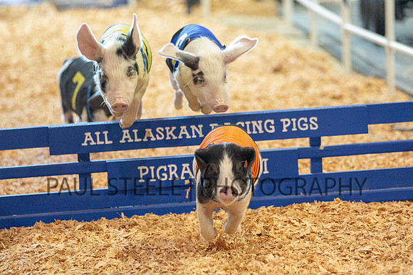 2018_07_jc-fair_348