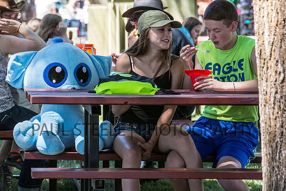 2016_07_fair_006