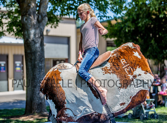 2016_07_fair_034