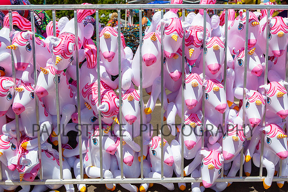 2018_07_jc-fair_027