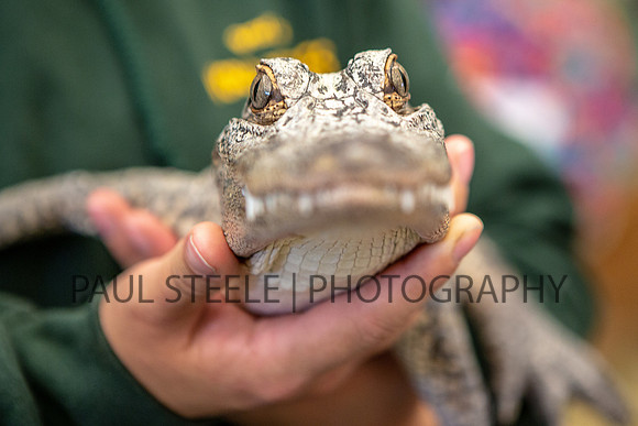 2018_07_jc-fair_050