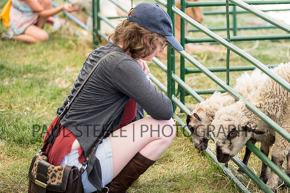 2016_07_fair_045