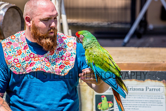 2016_07_fair_037
