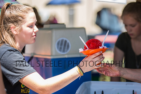 2016_07_fair_044