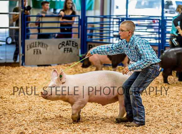 2016_07_fair_035