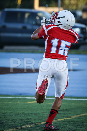 2014_08_jamboree_223