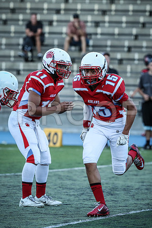 2014_08_jamboree_217