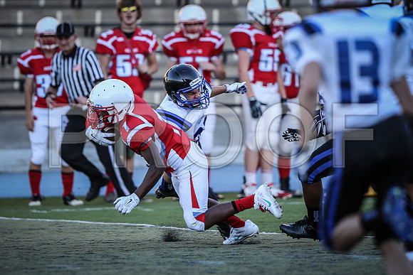 2014_08_jamboree_046
