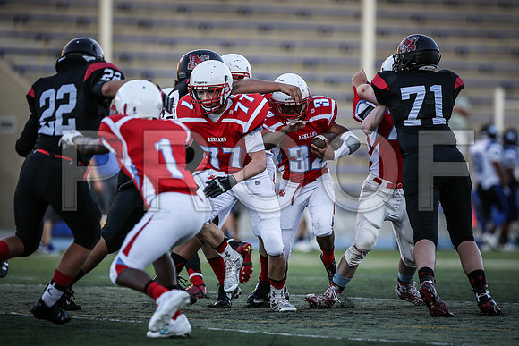 2014_08_jamboree_095