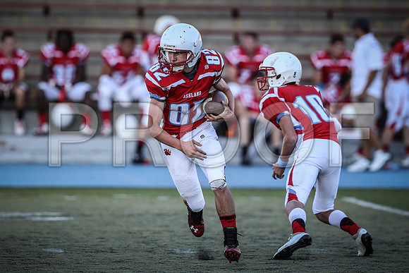 2014_08_jamboree_057