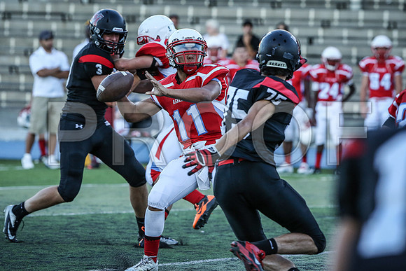 2014_08_jamboree_221