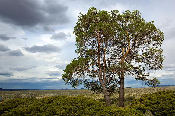 Eastern Oregon