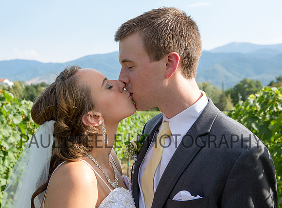 2015_08_monica-album-all_450