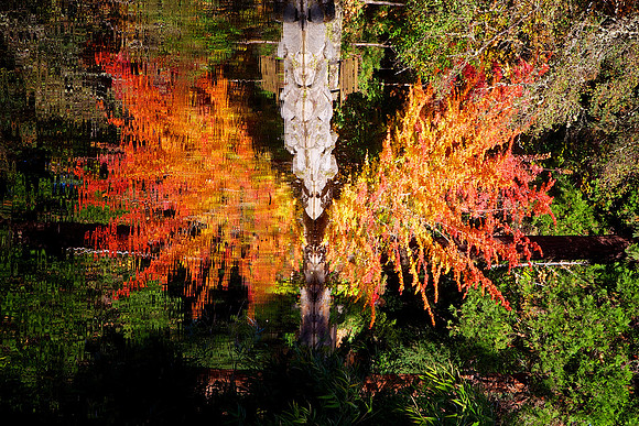 Lithia Park, Ashland