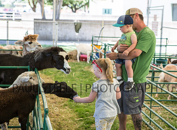 2017_07_jc-fair_011