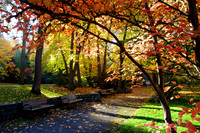 Lithia Park, Ashland