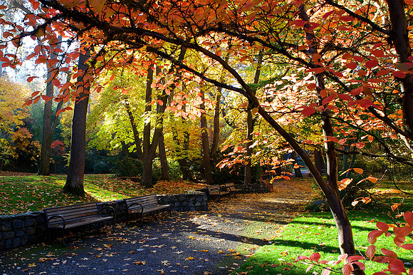 Lithia Park, Ashland