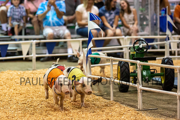 2019_07_fair_006