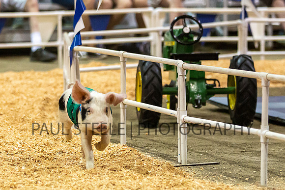 2019_07_fair_007