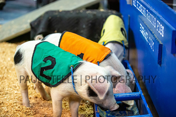 2019_07_fair_008