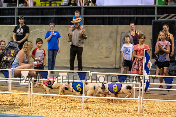 2019_07_fair_009