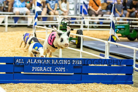 2019_07_fair_010