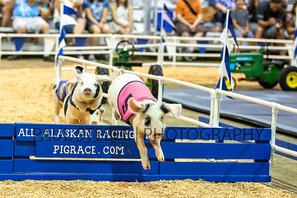 2019_07_fair_011