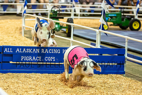 2019_07_fair_012