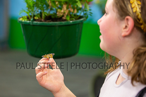 2019_07_fair_016