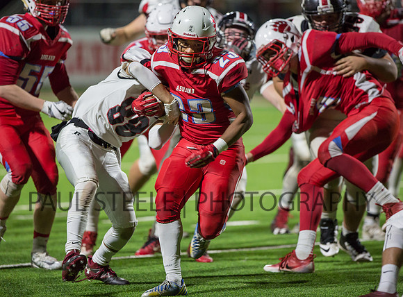 2016_11_ahs-mtview_069