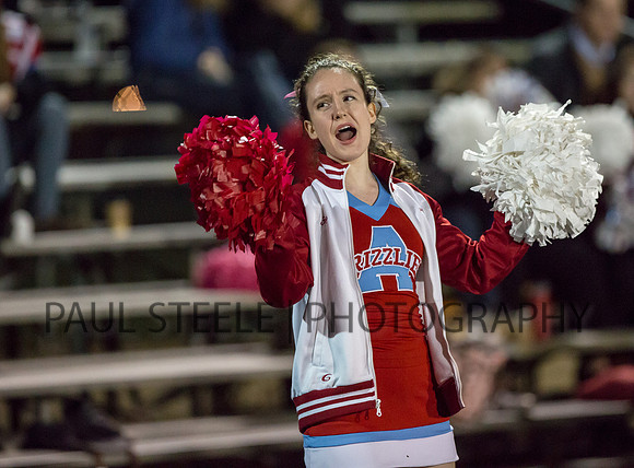 2015_10_ahs-eaglept_150