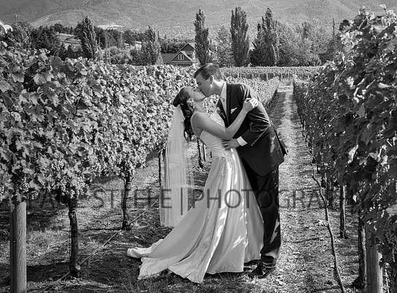 2015_08_monica-album-all_434