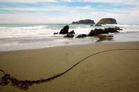 Oregon Coast