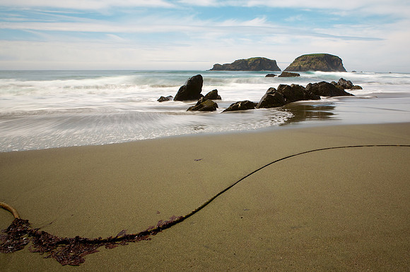 Oregon Coast