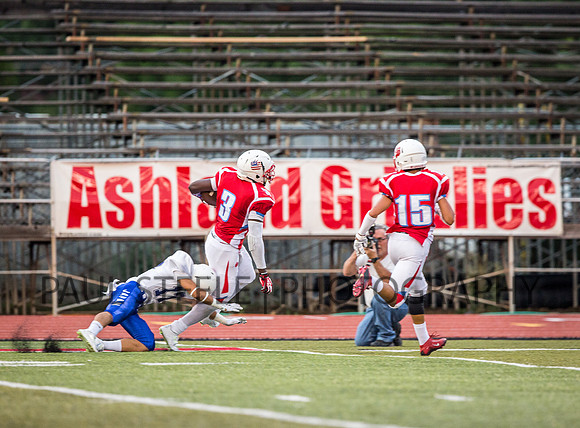 2015_07_prb_133