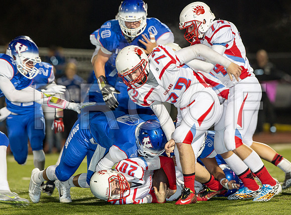 2014_11_ahs-hillsboro_022
