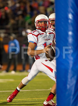 2014_11_ahs-hillsboro_039