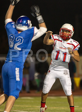 2014_11_ahs-hillsboro_026