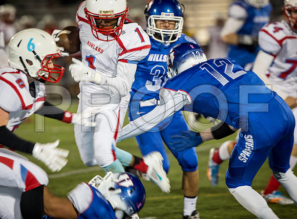 2014_11_ahs-hillsboro_139