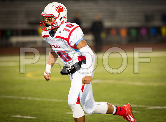 2014_11_ahs-hillsboro_119